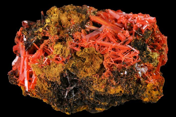 Bright Orange Crocoite Crystal Cluster - Tasmania #171670
